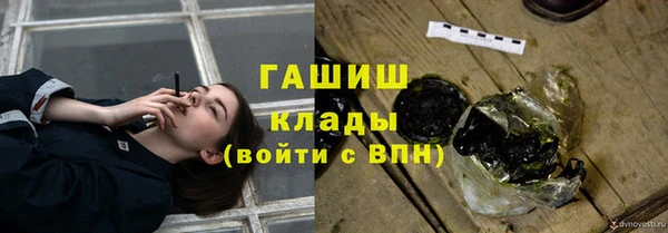 PSILOCYBIN Алзамай