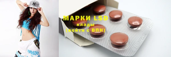PSILOCYBIN Алзамай
