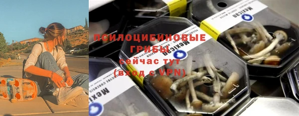 PSILOCYBIN Алзамай