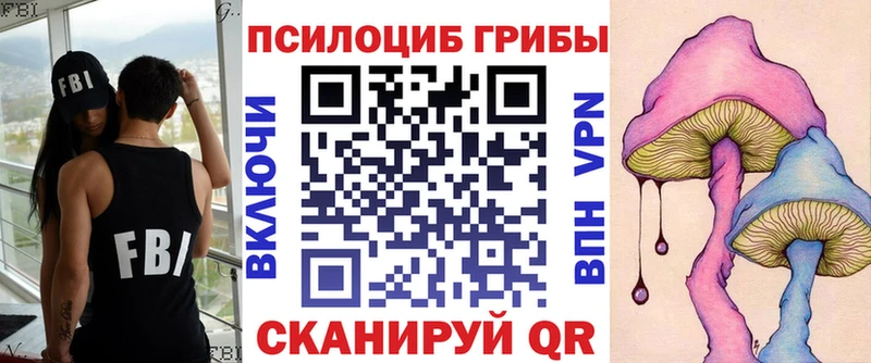 хочу   Катав-Ивановск  площадка какой сайт  Псилоцибиновые грибы Psilocybe 